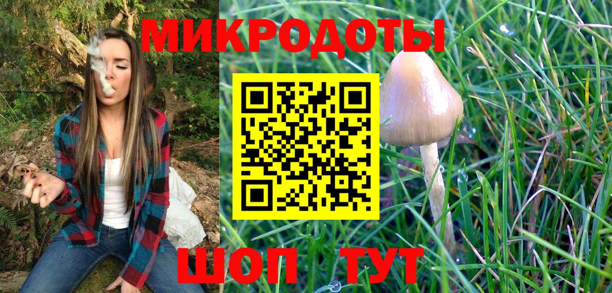 Псилоцибиновые грибы GOLDEN TEACHER  хочу   Галлюциногенные грибы Magic Shrooms  Таганрог  Вход с VPN 
